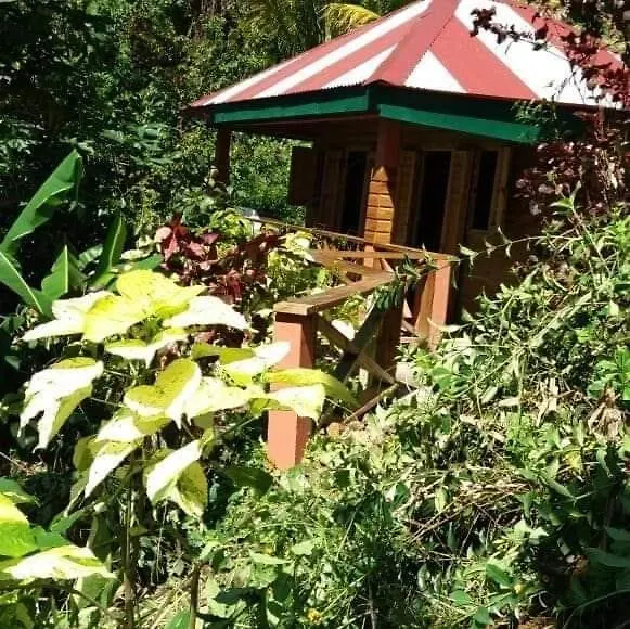 Berkey\'S Jungle Paradise location
