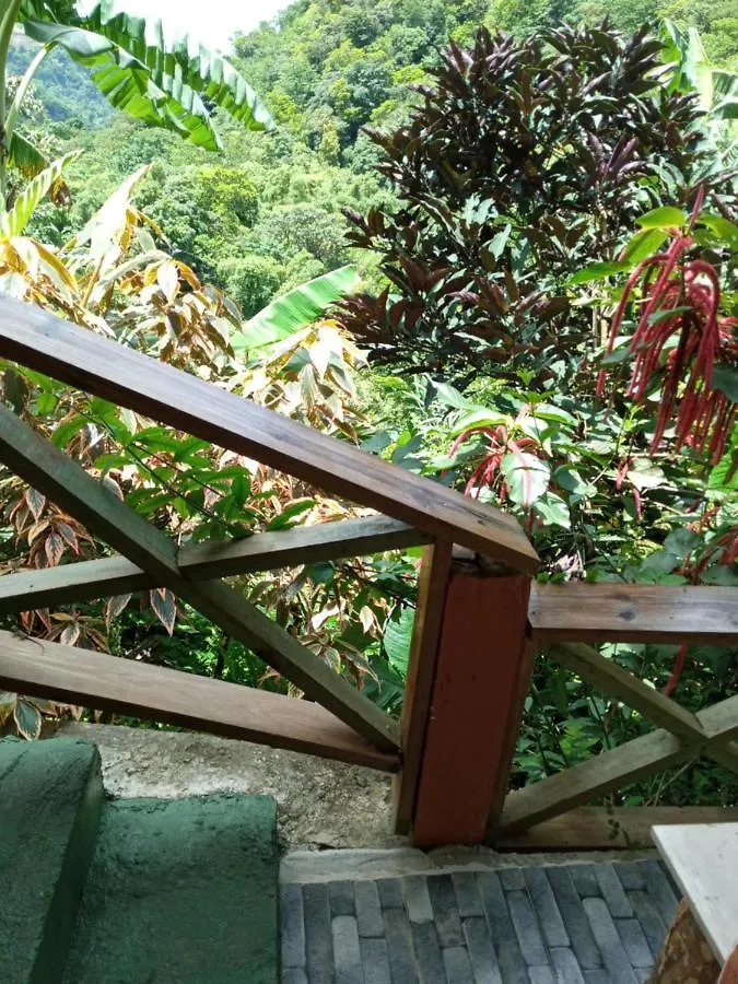 רוזו Berkey'S Jungle Paradise
