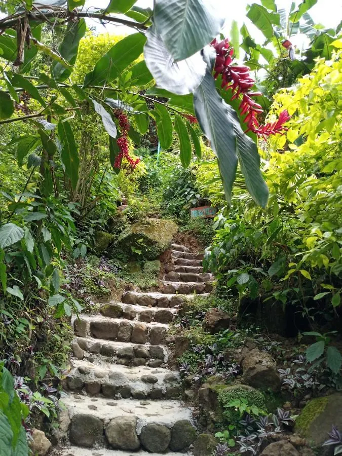 בית נופש רוזו Berkey'S Jungle Paradise