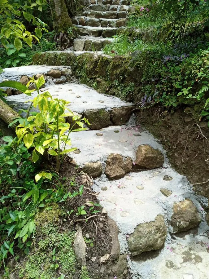 רוזו Berkey'S Jungle Paradise דומיניקה