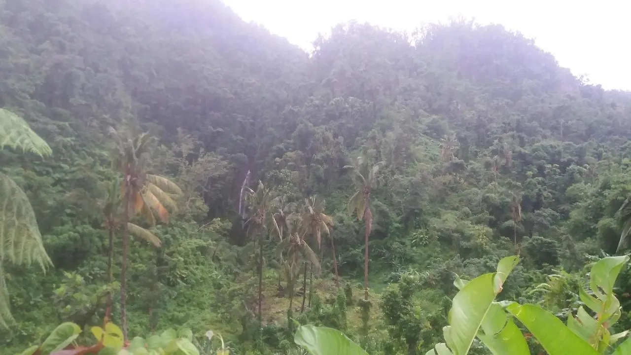 בית נופש רוזו Berkey'S Jungle Paradise