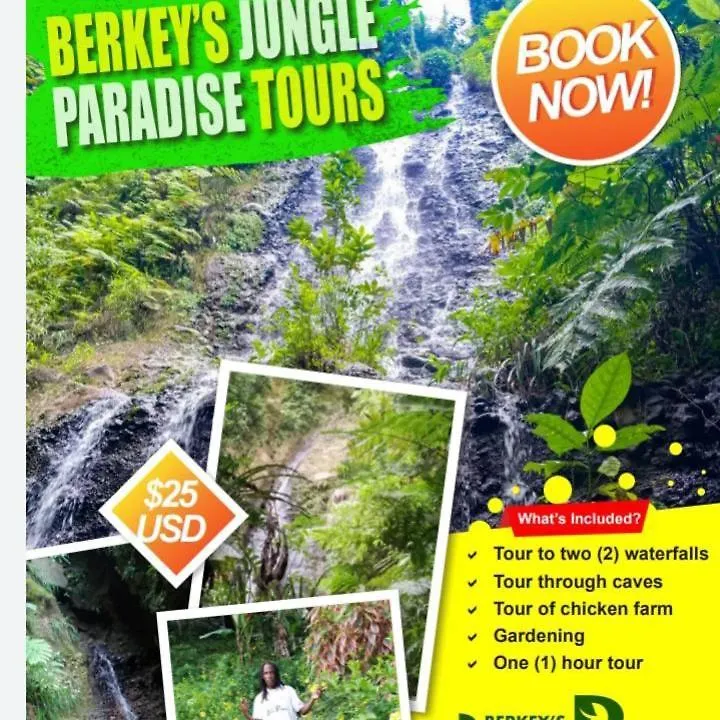בית נופש רוזו Berkey'S Jungle Paradise