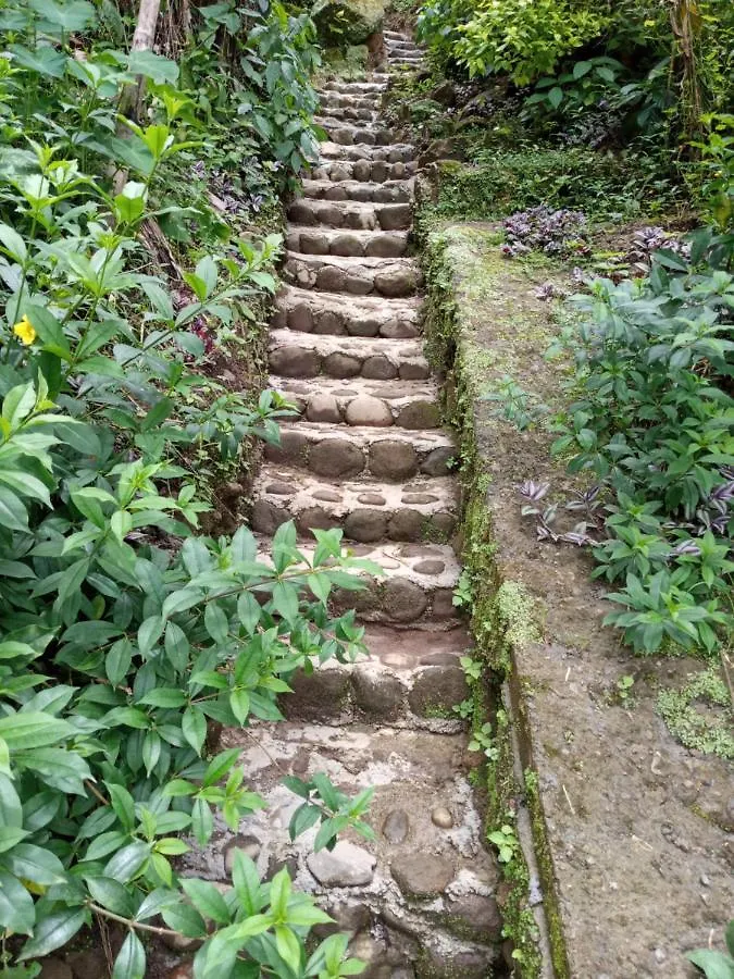 Berkey'S Jungle Paradise Roseau Casa de Férias