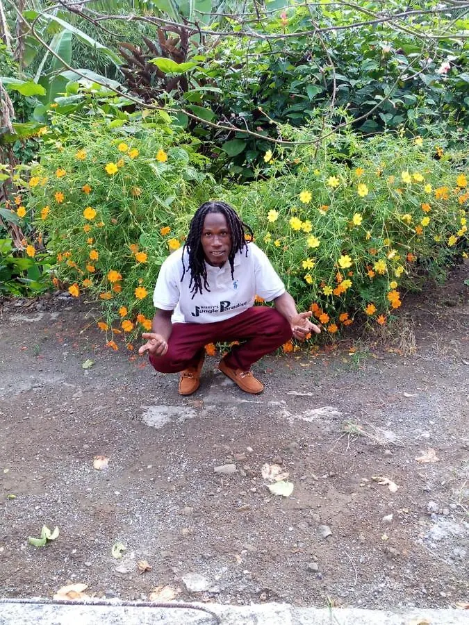 Berkey'S Jungle Paradise Roseau Dominica