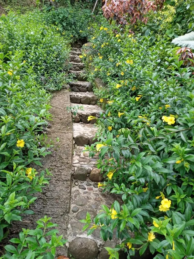 Casa de Férias Berkey'S Jungle Paradise Roseau Dominica
