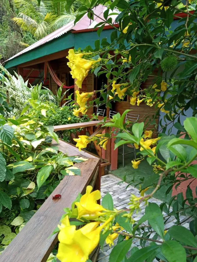 Berkey'S Jungle Paradise Roseau Casa de Férias