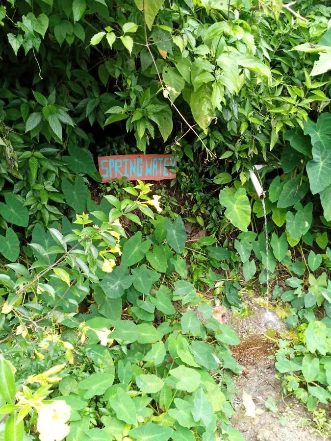 Berkey'S Jungle Paradise Roseau 0*,