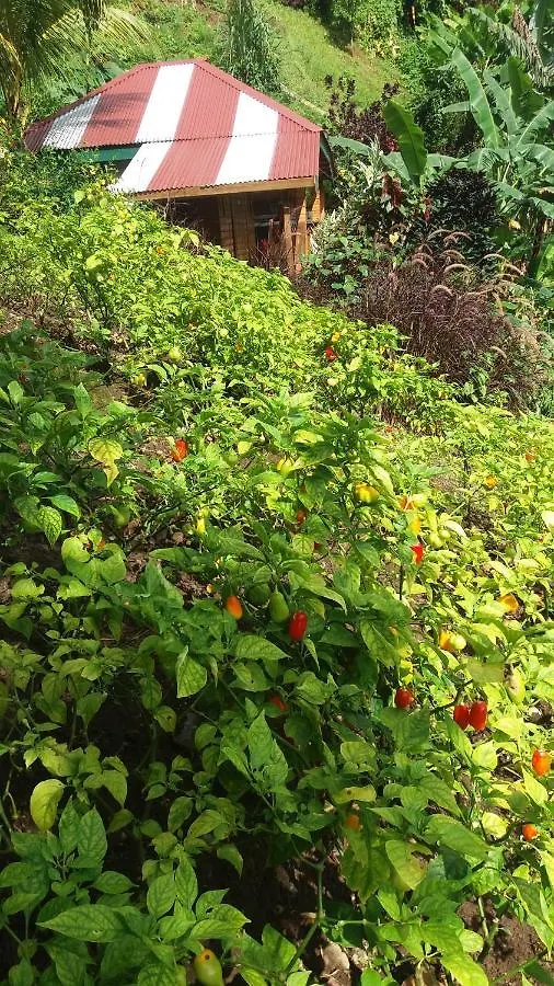 Berkey'S Jungle Paradise Roseau Casa de Férias