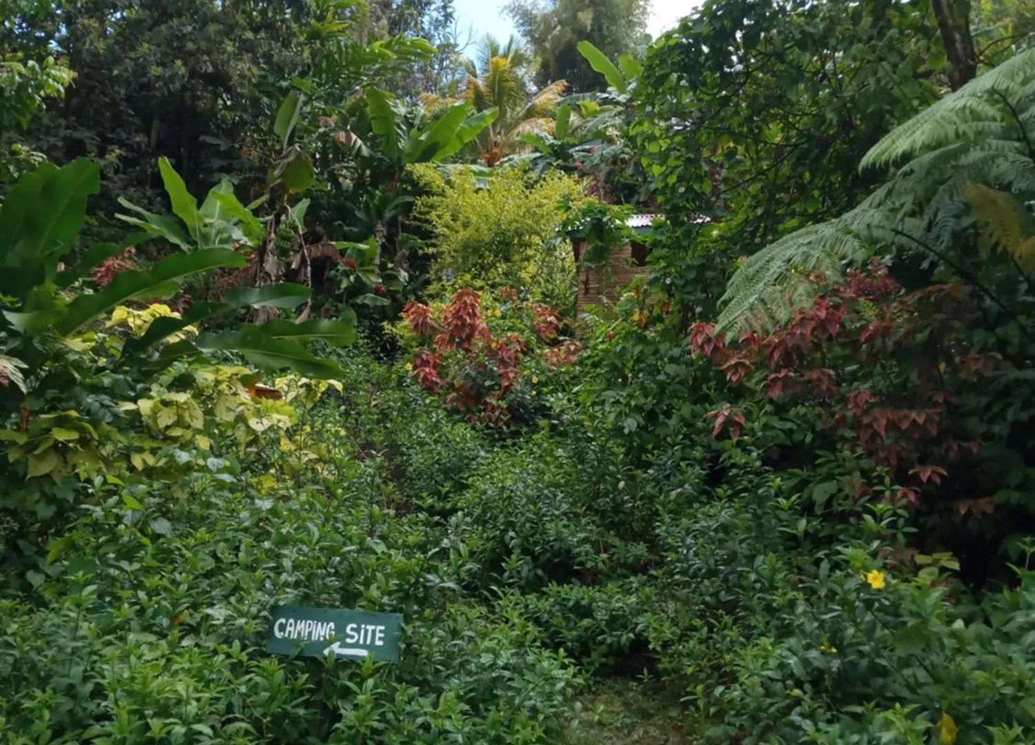 Berkey'S Jungle Paradise Roseau Casa de Férias