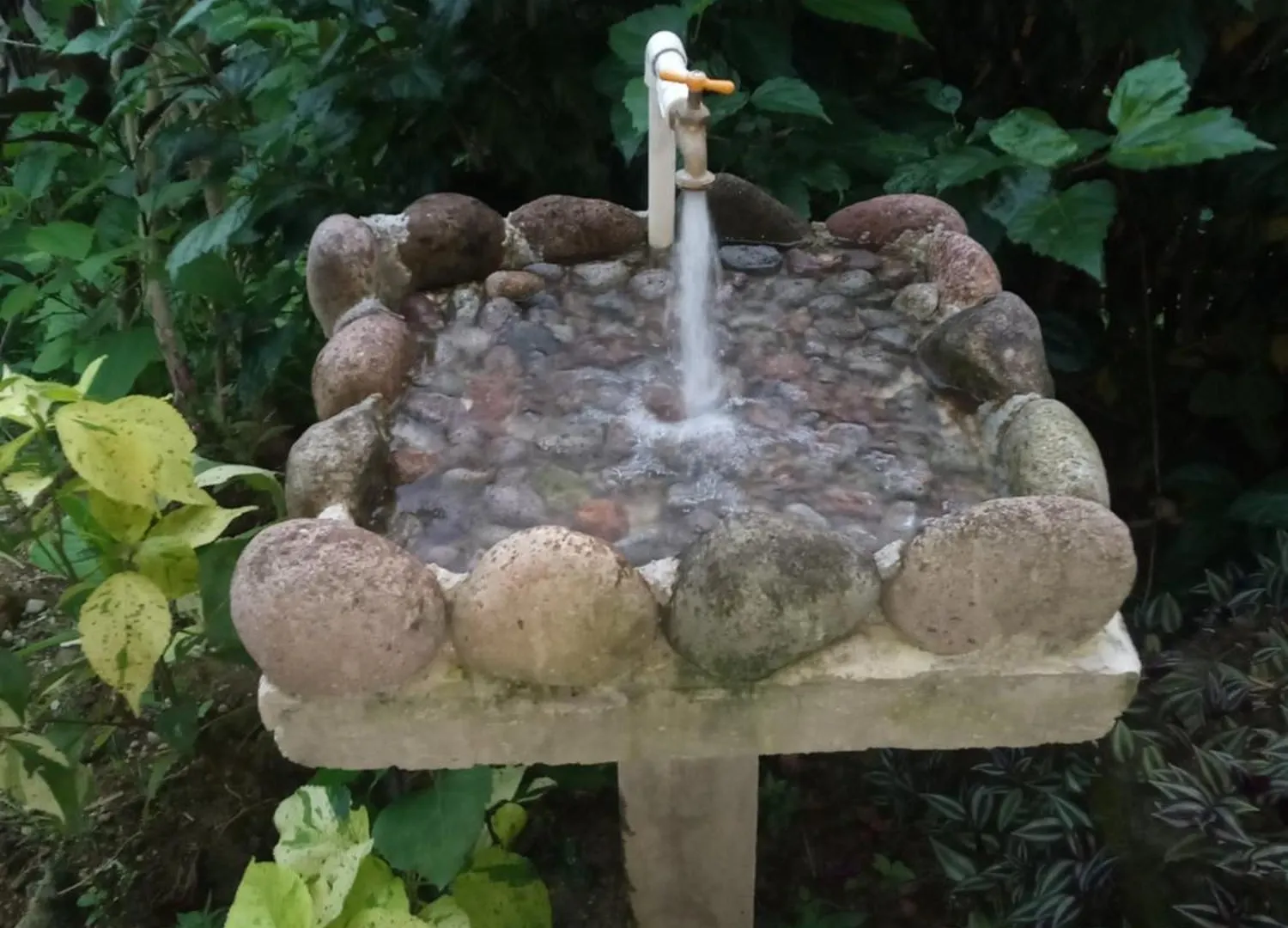 Berkey'S Jungle Paradise Roseau